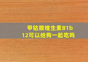 甲钴胺维生素B1b12可以给狗一起吃吗