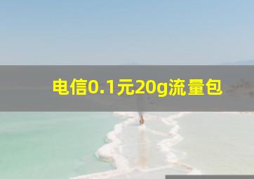 电信0.1元20g流量包