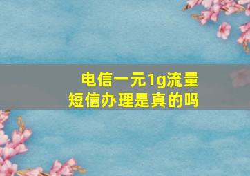 电信一元1g流量短信办理是真的吗