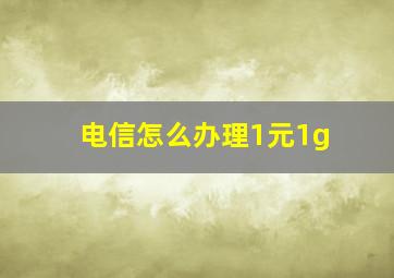 电信怎么办理1元1g