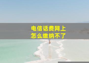 电信话费网上怎么缴纳不了