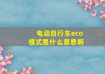 电动自行车eco模式是什么意思啊