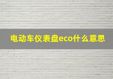 电动车仪表盘eco什么意思