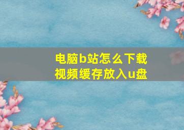 电脑b站怎么下载视频缓存放入u盘