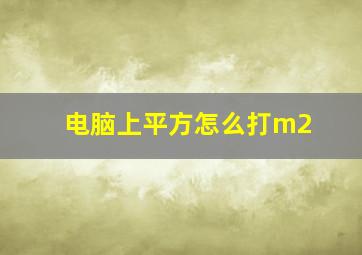 电脑上平方怎么打m2