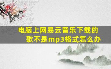 电脑上网易云音乐下载的歌不是mp3格式怎么办