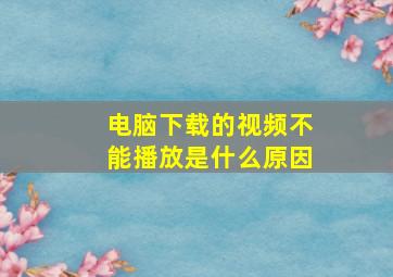 电脑下载的视频不能播放是什么原因