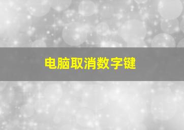 电脑取消数字键