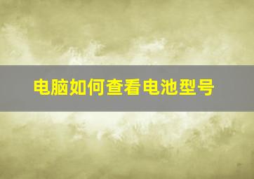 电脑如何查看电池型号