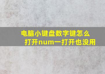 电脑小键盘数字键怎么打开num一打开也没用