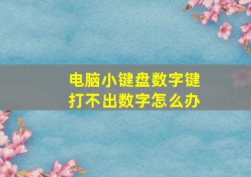 电脑小键盘数字键打不出数字怎么办