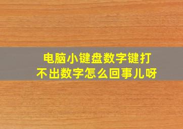 电脑小键盘数字键打不出数字怎么回事儿呀