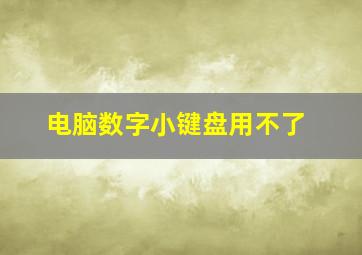 电脑数字小键盘用不了