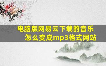 电脑版网易云下载的音乐怎么变成mp3格式网站