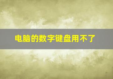 电脑的数字键盘用不了