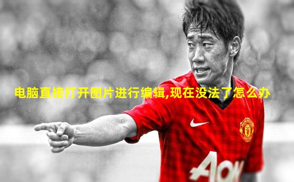 电脑直接打开图片进行编辑,现在没法了怎么办