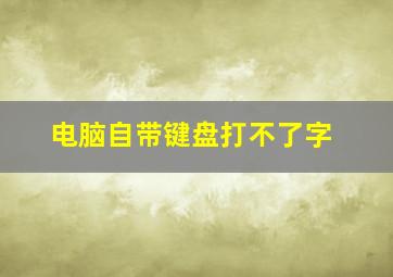 电脑自带键盘打不了字