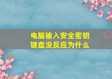 电脑输入安全密钥键盘没反应为什么