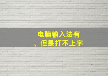 电脑输入法有、但是打不上字