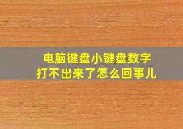 电脑键盘小键盘数字打不出来了怎么回事儿