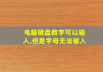 电脑键盘数字可以输入,但是字母无法输入