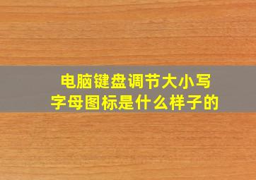 电脑键盘调节大小写字母图标是什么样子的