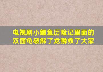 电视剧小鲤鱼历险记里面的双面龟破解了龙鳞救了大家