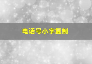 电话号小字复制