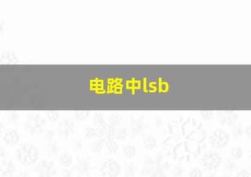 电路中lsb