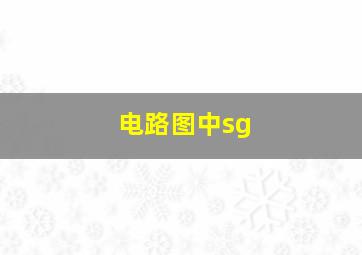 电路图中sg