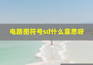 电路图符号sd什么意思呀