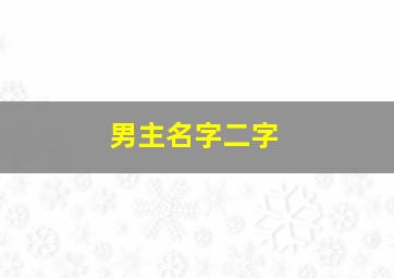 男主名字二字