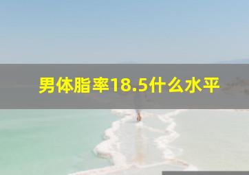 男体脂率18.5什么水平