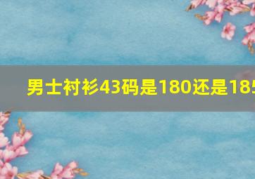 男士衬衫43码是180还是185