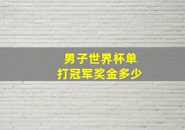 男子世界杯单打冠军奖金多少