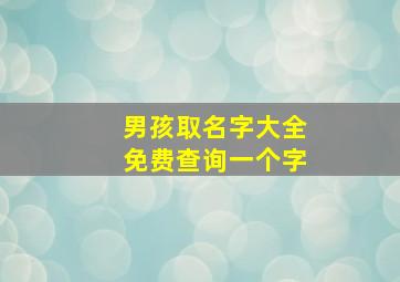 男孩取名字大全免费查询一个字