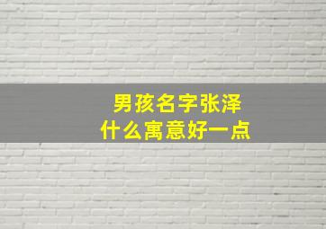 男孩名字张泽什么寓意好一点