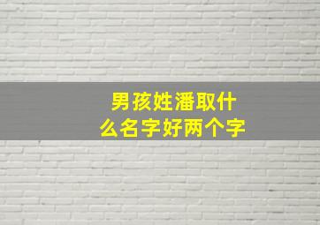 男孩姓潘取什么名字好两个字