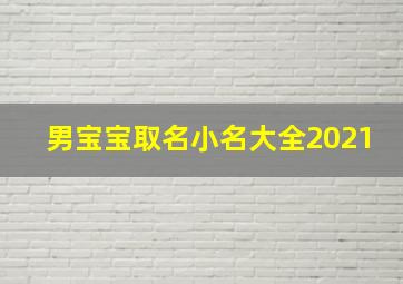 男宝宝取名小名大全2021