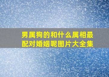 男属狗的和什么属相最配对婚姻呢图片大全集