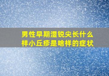 男性早期湿锐尖长什么样小丘疹是啥样的症状