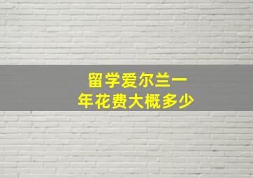 留学爱尔兰一年花费大概多少