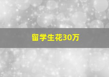 留学生花30万