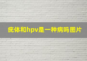 疣体和hpv是一种病吗图片