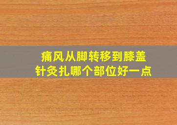 痛风从脚转移到膝盖针灸扎哪个部位好一点