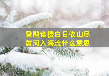 登鹳雀楼白日依山尽黄河入海流什么意思