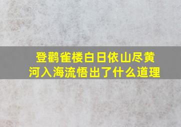 登鹳雀楼白日依山尽黄河入海流悟出了什么道理