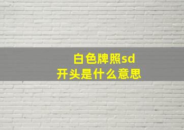 白色牌照sd开头是什么意思