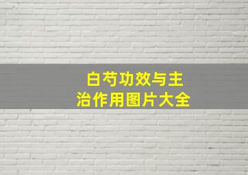 白芍功效与主治作用图片大全