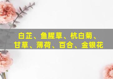 白芷、鱼腥草、杭白菊、甘草、薄荷、百合、金银花